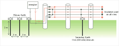 spsf10